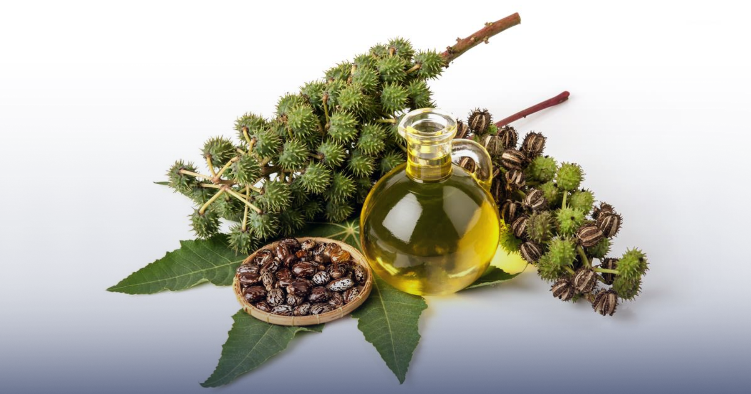 Hydrogenated Castor Oil in Nigeria