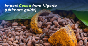 Read more about the article The Complete Guide to Importing Cocoa from Nigeria: Everything You Need to Know