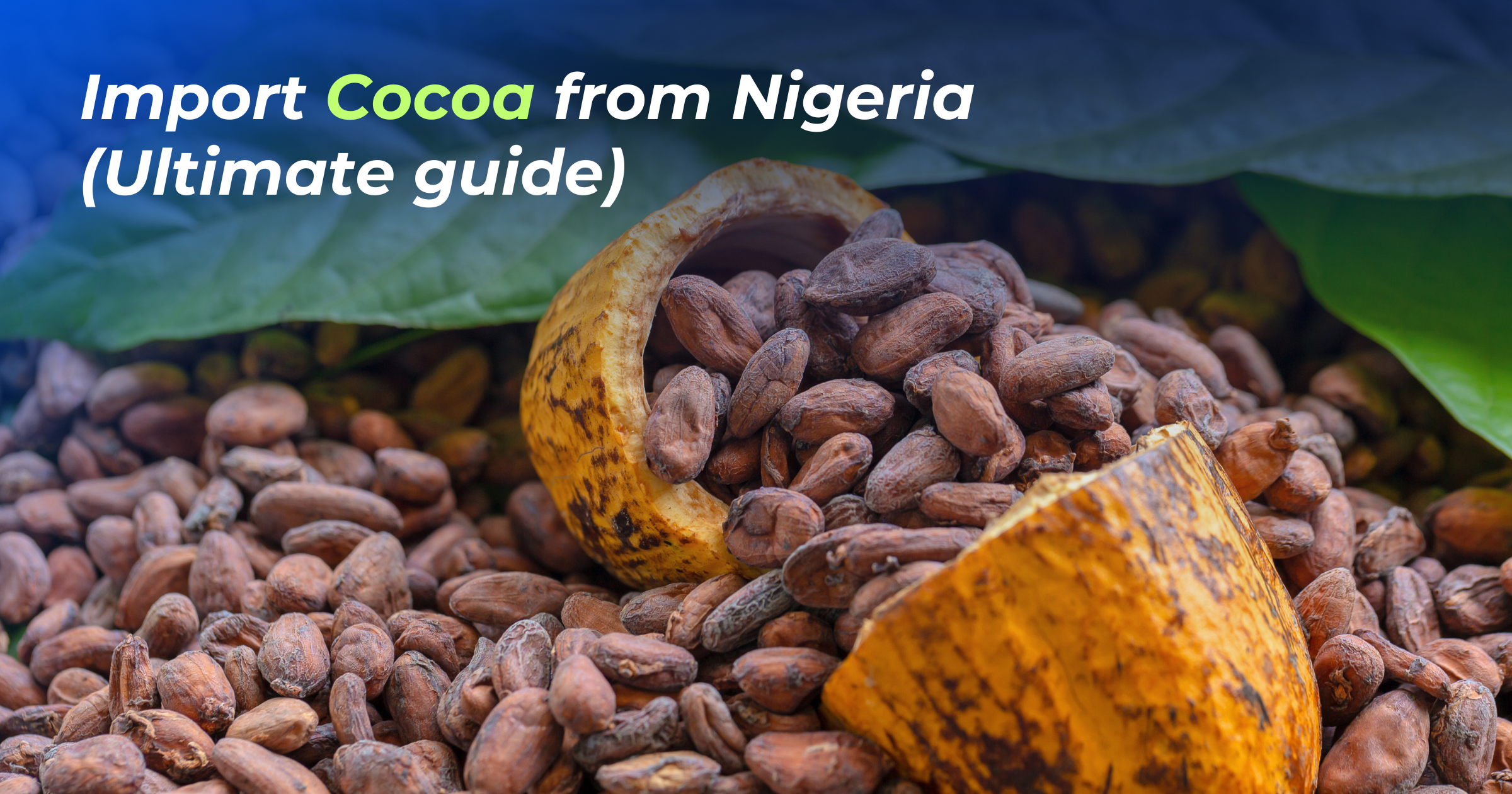 Import Nigerian Cocoa