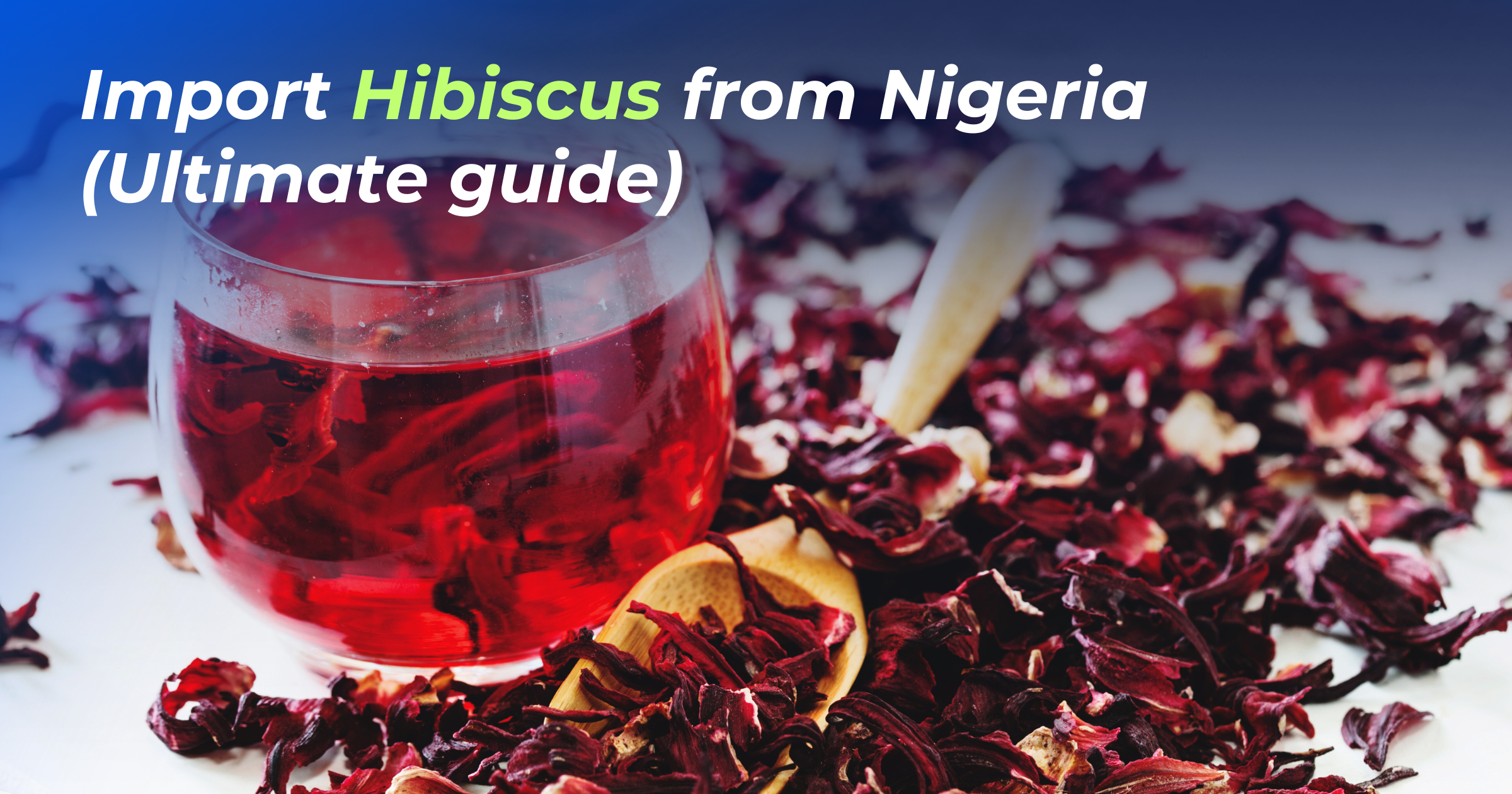 Ultimate guide to Import Hibiscus from Nigeria