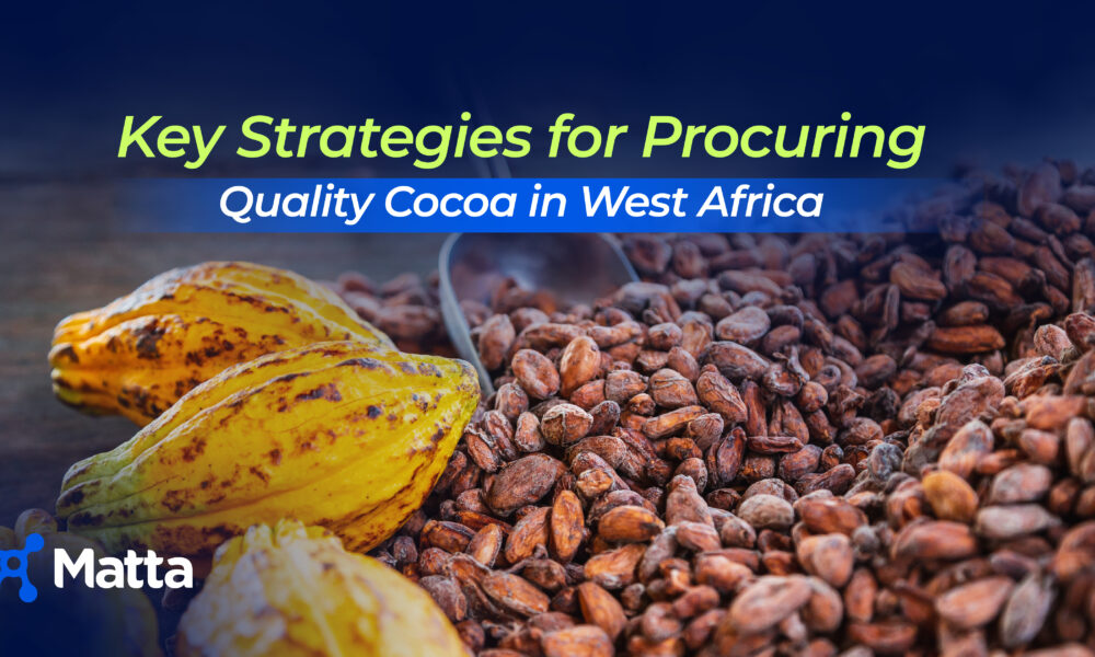 Explore sustainable ways to procure quality cocoa in West Africa and learn how to navigate supply chain challenges effectively.