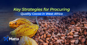 Explore sustainable ways to procure quality cocoa in West Africa and learn how to navigate supply chain challenges effectively.